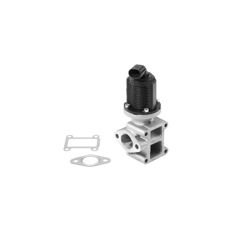 Vanne EGR WAHLER 710954R