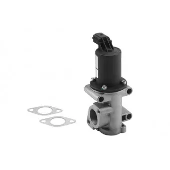 Vanne EGR WAHLER 710960R