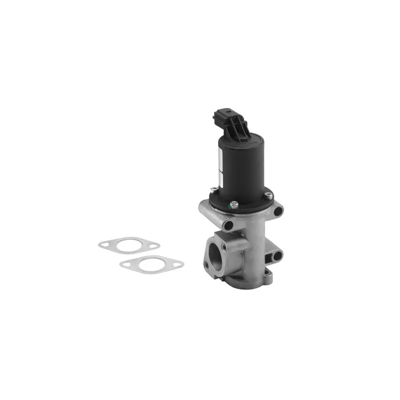 Vanne EGR WAHLER 710960R