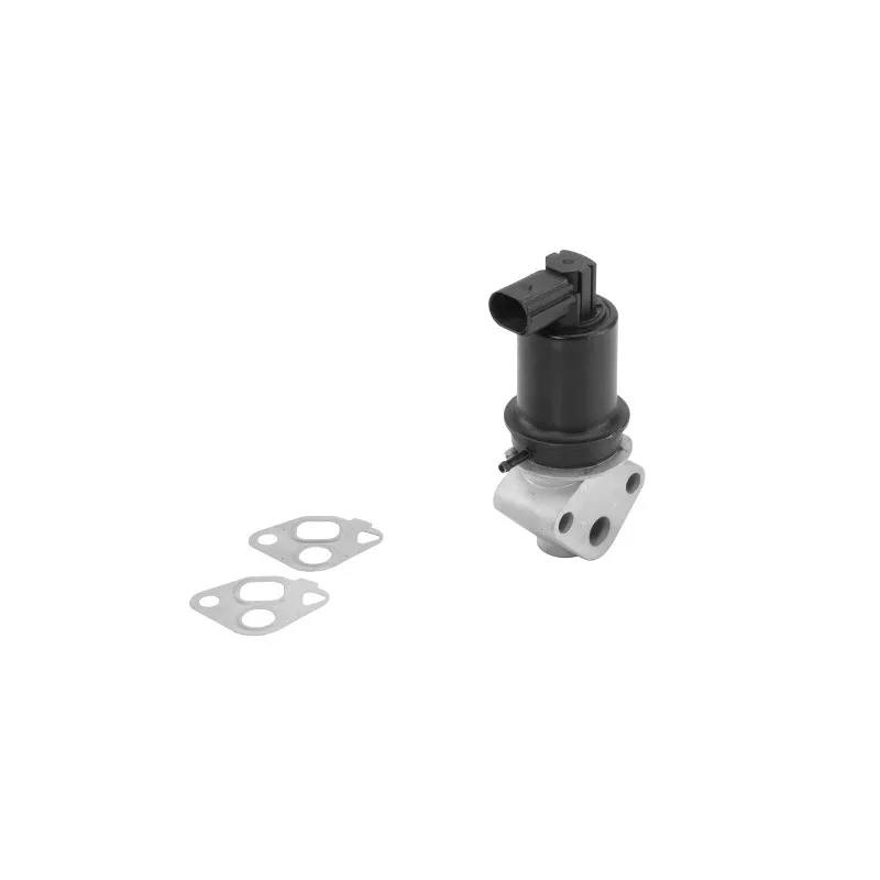 Vanne EGR WAHLER 710962R