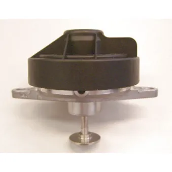 Vanne EGR WAHLER 7211D