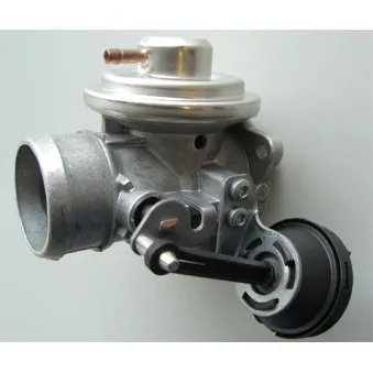 Vanne EGR WAHLER 7241D