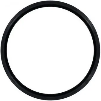 Bague d'étanchéité, vilebrequin GLASER