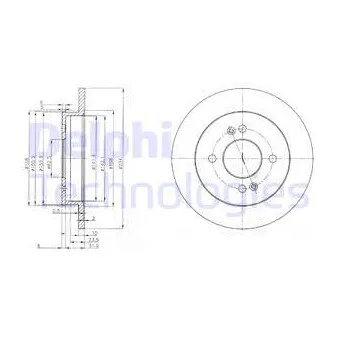 Jeu de 2 disques de frein arrière DELPHI BG3981C