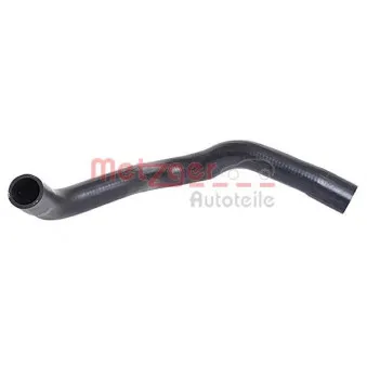 Durite de radiateur METZGER 2420013