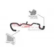Durite de radiateur METZGER 2420274 - Visuel 2