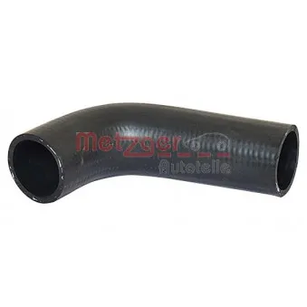 Durite de radiateur METZGER 2420484