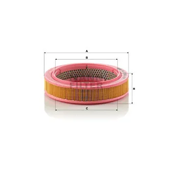 Filtre à air MANN-FILTER C 2231/1