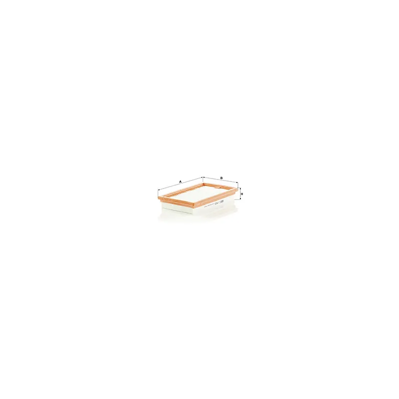 Filtre à air MANN-FILTER C 2420