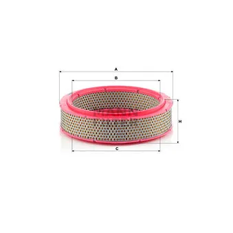 Filtre à air MANN-FILTER C 2436/1