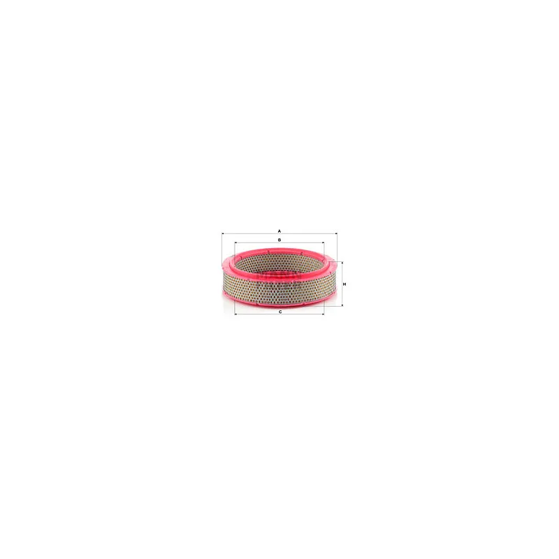 Filtre à air MANN-FILTER C 2436/1