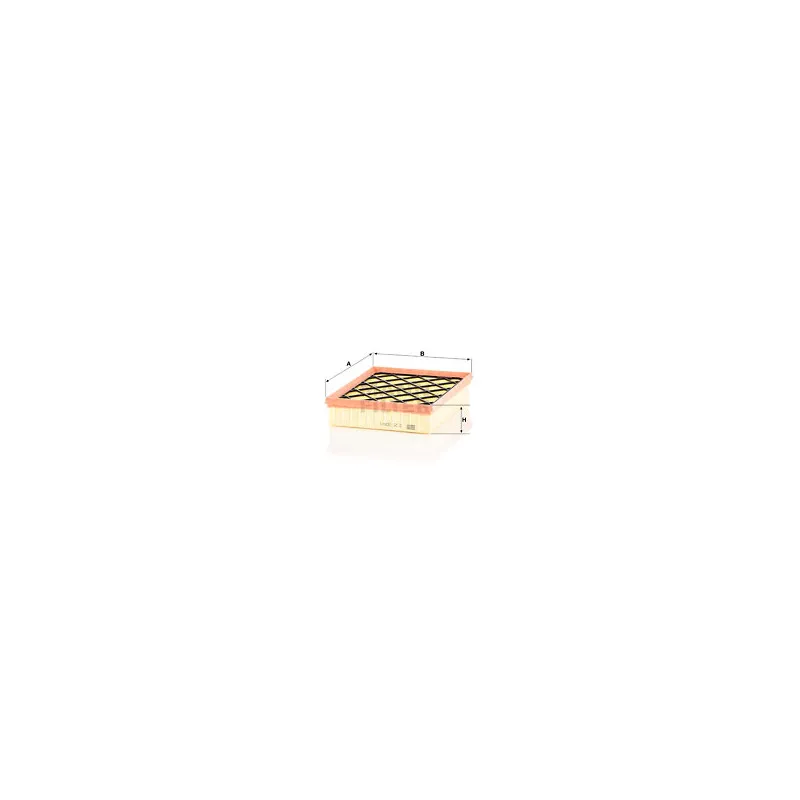 Filtre à air MANN-FILTER C 25 008/1