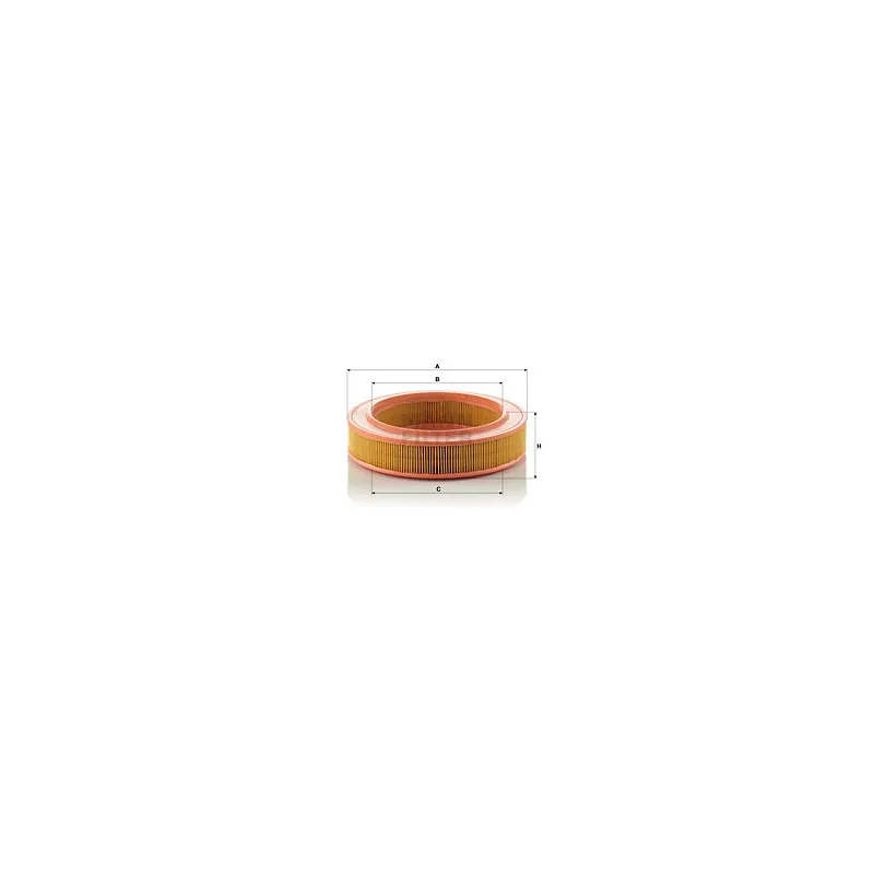 Filtre à air MANN-FILTER C 2552/1