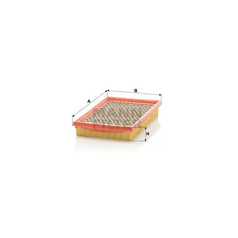 Filtre à air MANN-FILTER C 2552/2