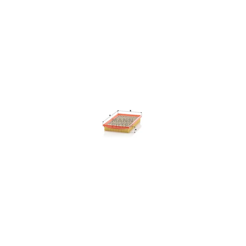 Filtre à air MANN-FILTER C 2552/2