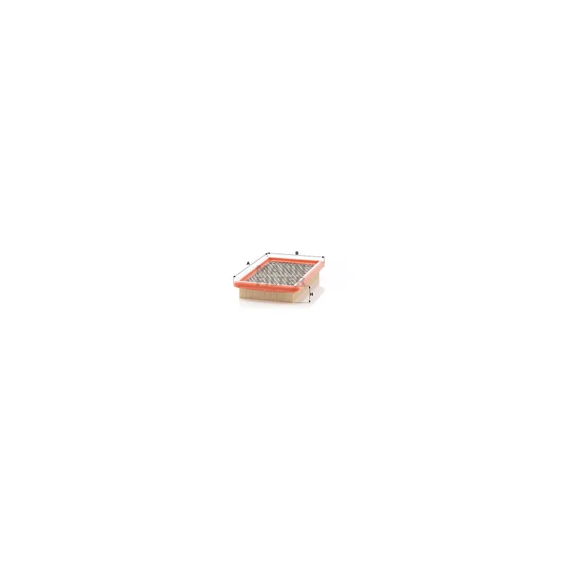 Filtre à air MANN-FILTER C 2666