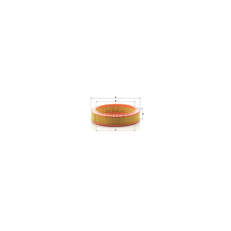 Filtre à air MANN-FILTER C 2873/1