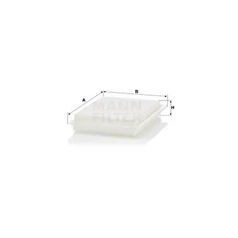 Filtre à air MANN-FILTER C 30 009
