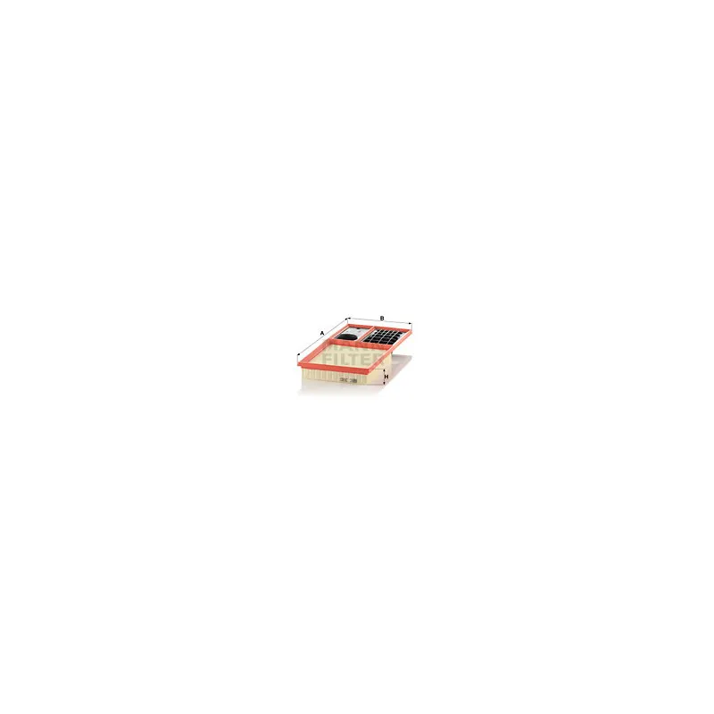 Filtre à air MANN-FILTER C 3880
