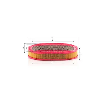 Filtre à air MANN-FILTER C 3975/1