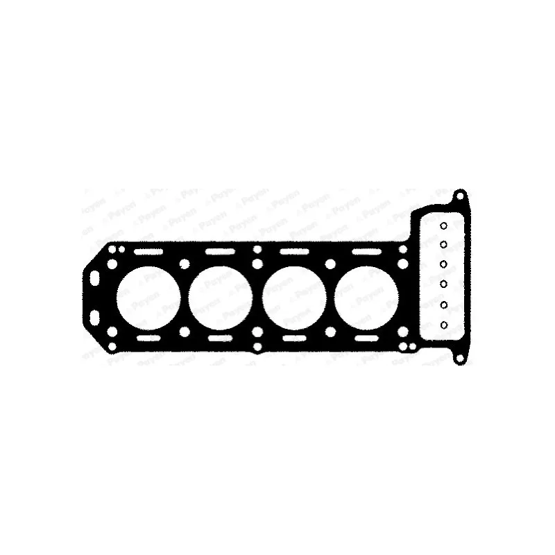 Joint d'étanchéité, culasse PAYEN BC370