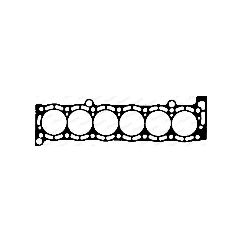 Joint d'étanchéité, culasse PAYEN BR300