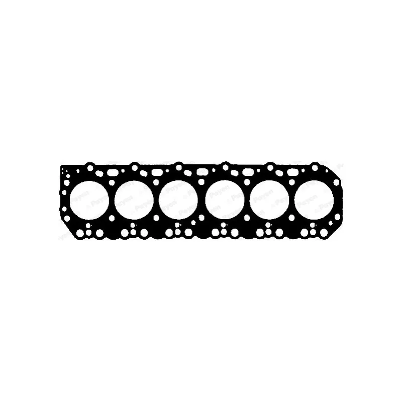 Joint d'étanchéité, culasse PAYEN BR890
