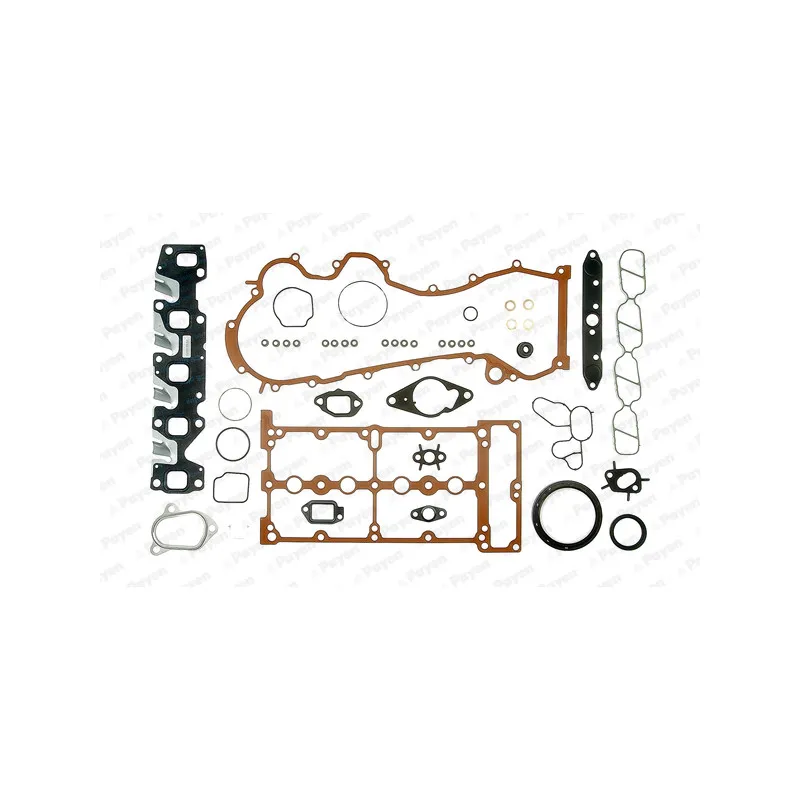 Pochette moteur complète PAYEN FD5810