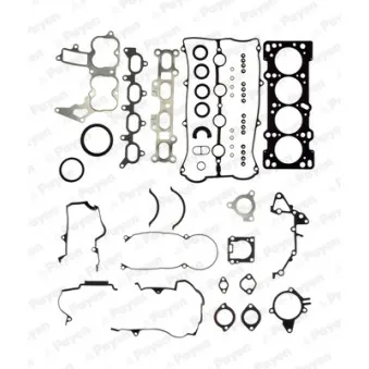 Pochette moteur complète PAYEN GS950