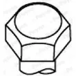 Jeu de boulons de culasse de cylindre PAYEN HBS001 - Visuel 1