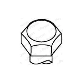 Jeu de boulons de culasse de cylindre PAYEN HBS008
