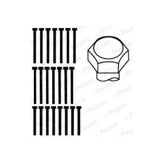 Jeu de boulons de culasse de cylindre PAYEN HBS015