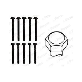 Jeu de boulons de culasse de cylindre PAYEN HBS051
