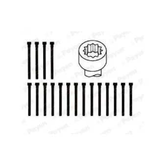 Jeu de boulons de culasse de cylindre PAYEN HBS061