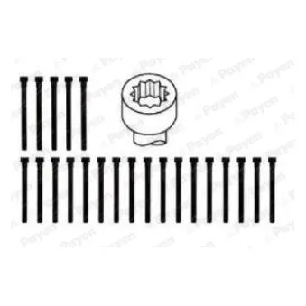 Jeu de boulons de culasse de cylindre PAYEN HBS062