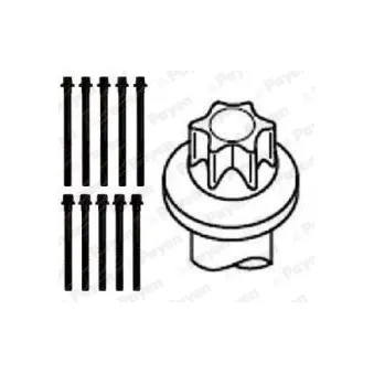 Jeu de boulons de culasse de cylindre PAYEN HBS102
