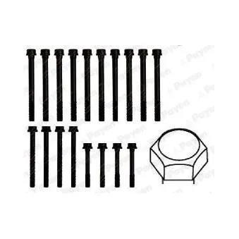 Jeu de boulons de culasse de cylindre PAYEN HBS105