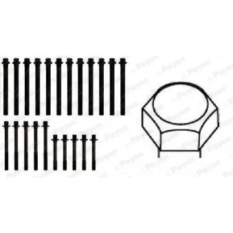 Jeu de boulons de culasse de cylindre PAYEN HBS106
