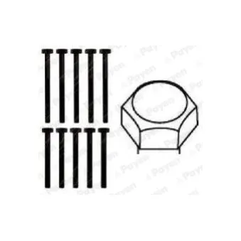 Jeu de boulons de culasse de cylindre PAYEN HBS112