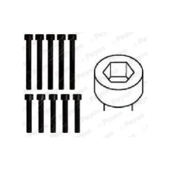 Jeu de boulons de culasse de cylindre PAYEN HBS161