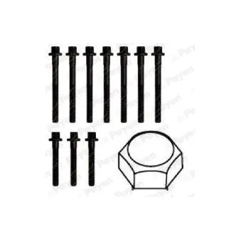 Jeu de boulons de culasse de cylindre PAYEN HBS175