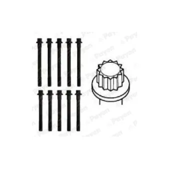 Jeu de boulons de culasse de cylindre PAYEN HBS203