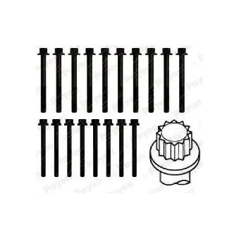 Jeu de boulons de culasse de cylindre PAYEN HBS288