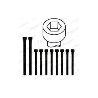 Jeu de boulons de culasse de cylindre PAYEN HBS308