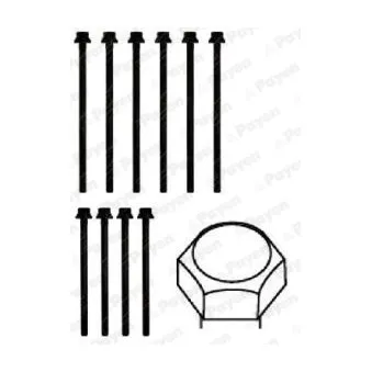 Jeu de boulons de culasse de cylindre PAYEN HBS391