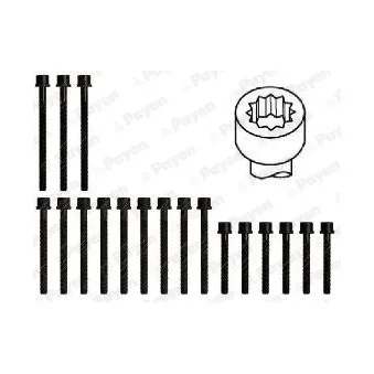 Jeu de boulons de culasse de cylindre PAYEN HBS461