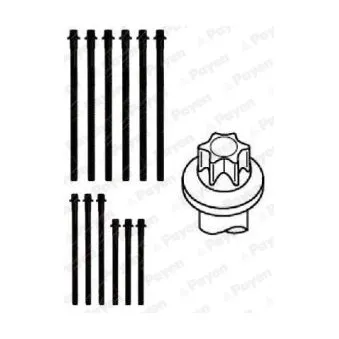 Jeu de boulons de culasse de cylindre PAYEN HBS467