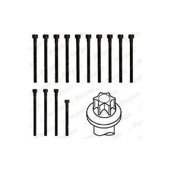 Jeu de boulons de culasse de cylindre PAYEN HBS468