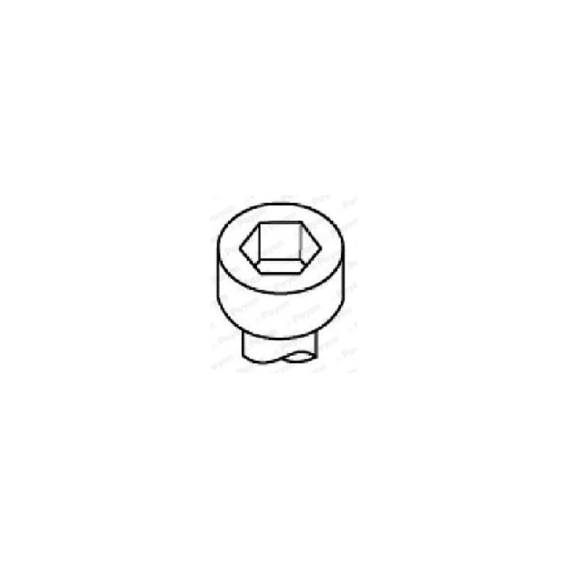 Jeu de boulons de culasse de cylindre PAYEN HBS516