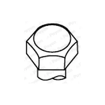 Jeu de boulons de culasse de cylindre PAYEN HBS520